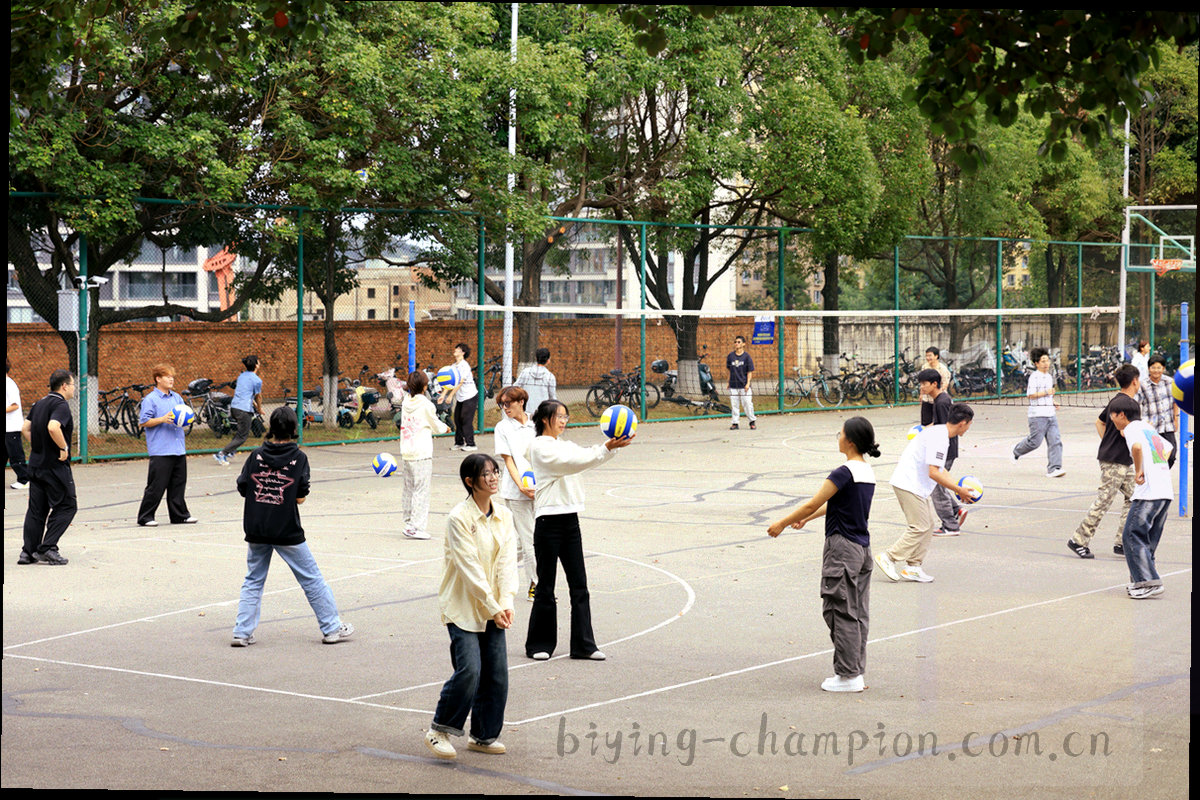 抽象条款档案纹理与编号线条，无人物